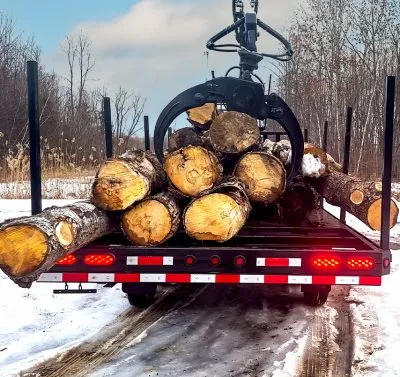 Black Horse | Model LTR510-7K 10’ Road-Forestry Trailers | Trailer Size 5' x 10' | Dual Axel | GVWR (Lb) 7,000