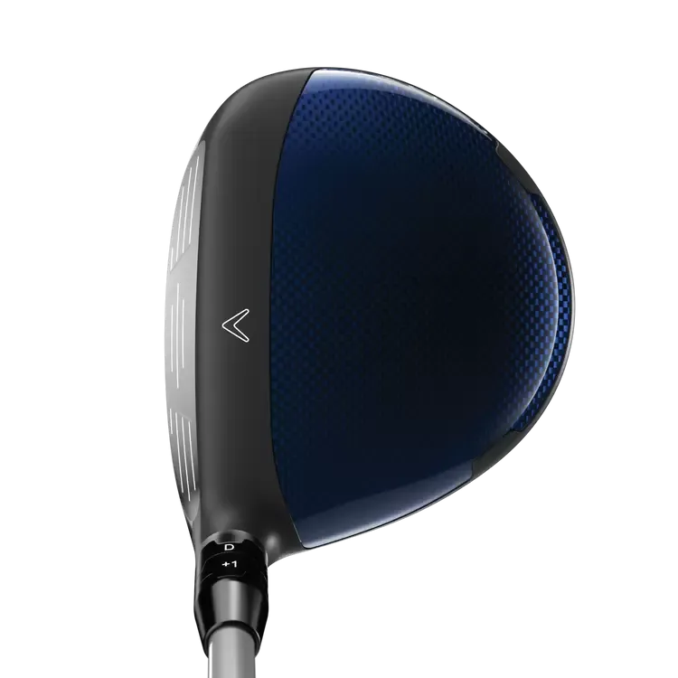 BOIS ALLÉ CALLAWAY PARADYM X GAUCHER