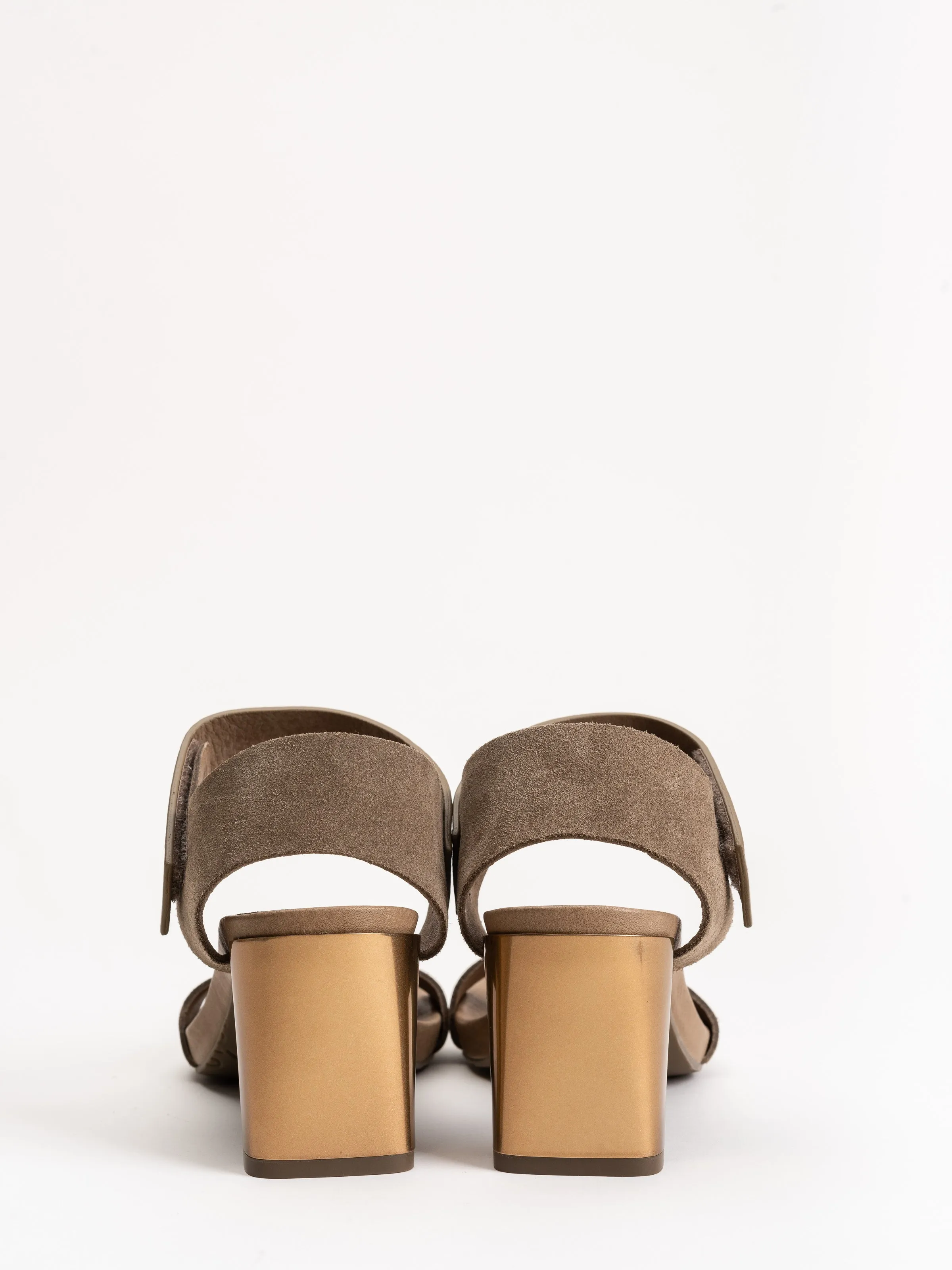 cody heel - bark