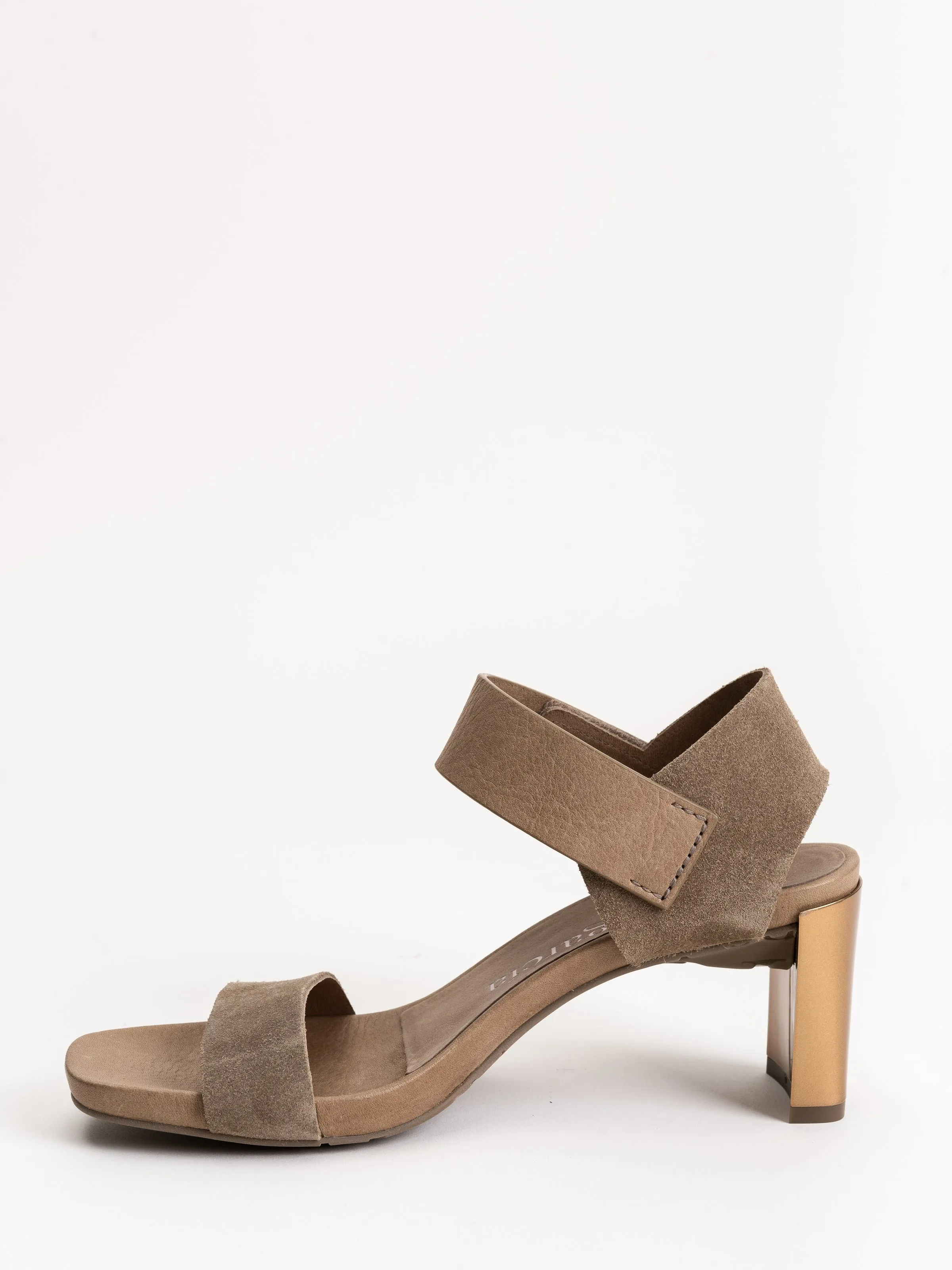 cody heel - bark