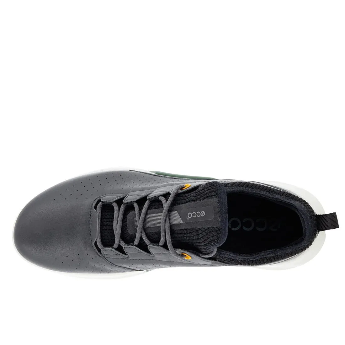 Ecco Men's Golf Biom C4 Shoe Magnet
