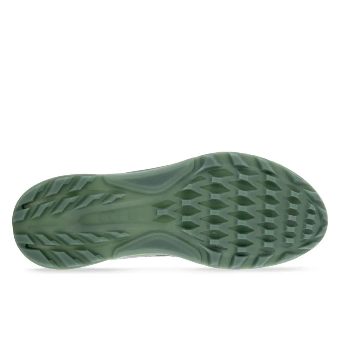 Ecco Men's Golf Biom C4 Shoe Magnet