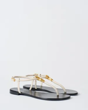 flat sandal thong