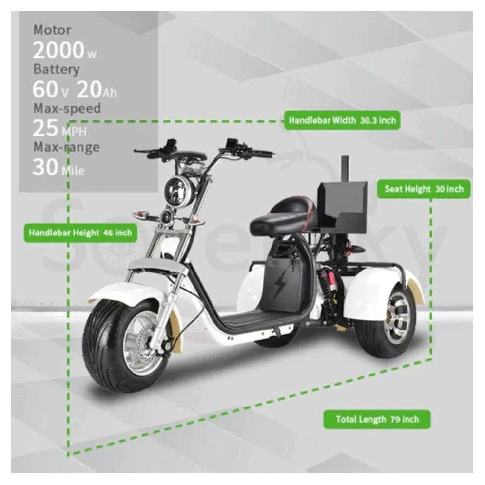 SoverSky| T7.3 Electric Fat Tire 2000W Golf Trike