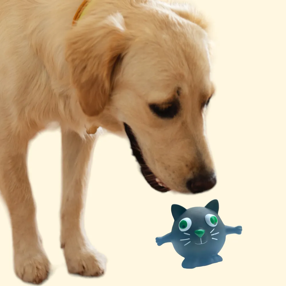 Talking Dog Club Cat Bouncy Ball Toy for Dogs (Black)